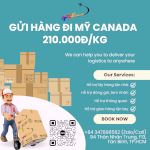 Gửi Hàng Đi Mỹ Canada Giá Rẻ Nè Khách Ơi - Tiến Việt Express