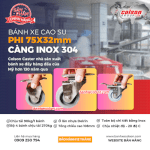 Bánh Xe Cao Su D75 Càng Inox Colson Caster Mỹ