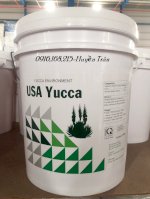 Usa Yucca Yucca Nước