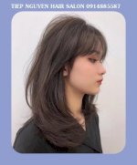 Những Màu Nâu Đen, Màu Xanh Rêu Không Tẩy Hot Trend 2023 - Tiệp Nguyễn Hair Salon 782