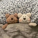 Gấu Teddy Bằng Len Nhung Đũa