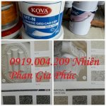 Đại Lý Cấp 1 Sơn Nước Kova, Sơn Chống Thấm Ct11A Sàn, Tường Giá Rẻ Nhất Bình Dương