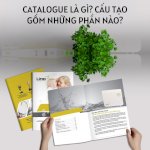 Catalogue Là Gì? Cấu Tạo Gồm Những Phần Nào