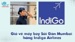 Giá Vé Máy Bay Sài Gòn Mumbai Hãng Indigo Airlines