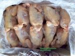 Top Địa Chỉ Bán Buôn Gà Nguyên Con Hàn Quốc Chất Lượng