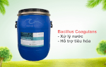 Bacillus Coagulans - Men Kỵ Khí Hỗ Trợ Tiêu Hóa Tôm Cá