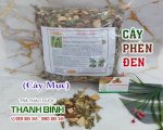 Cây Phèn Đen (Cây Mực) Vị Thuốc Chữa Suy Thận, Thận Hư