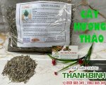 Cây Hương Thảo [ Công Dụng, Lợi Ích ] Mua Ở Đâu Nguyên Chất Uy Tín