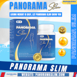 Losing Weight Is Easy, Let Panorama Slim Show You