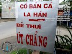 Cần Bán Mảnh Đất Tại Đường Nguyễn Văn Rốp, Phường 4, Tây Ninh, Tây Ninh.