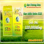 Gạo Lứt St25 - Gạo Lứt Thơm Ngon Bổ Dưỡng