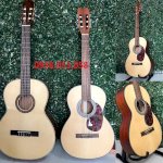 Bán Đàn Guitar Giá Rẻ Tại Hóc Môn Củ Chi Hồ Chí Minh