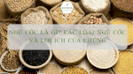 Công Dụng Của Granola Đối Với Sức Khỏe Mọi Người