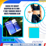 Excess Fat Doesn''t Disappear On Its Own - It Only Vanishes When It Meets Panorama Slim
