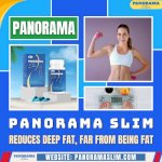 Reduce Inner Belly Fat With Panorama Slim