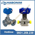 Van Bi Habonim Tại Việt Nam