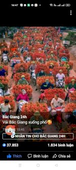 Bán Gấp Giá Rẻ Hồ Câu Xã Quang Trung, 4000M, Mặt Tiền 400M, 5 Tỷ Phú Xuyên, Hà Nội.