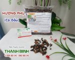 Hương Phụ Giúp Điều Hòa Kinh Nguyệt