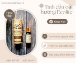 Tinh Dầu Hoa Oải Hương Ecolife Lavender Essential Oil