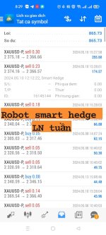 Robot Smart Hedge Giao Dịch Tự Động Vàng
