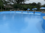 Đại Lý Bán Sơn Epoxy Chống Thấm Cho Hồ Bơi Trong Nhà Ngoài Trời Chính Hãng Giá Rẻ Tại Tphcm