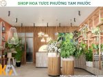 Shop Hoa Tươi Giá Rẻ Tại Phường Tam Phước