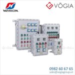 Hộp Phân Phối (Distribution Boxes) Chống Cháy Nổ Của Hãng Warom