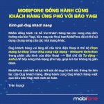 Mobifone Và Các Nhà Mạng Khác Hợp Tác Đảm Bảo Thông Tin Thông Suốt Trong Bão Yagi