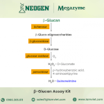 Beta-Glucan Assay Kit Của Megazyme