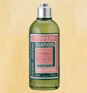Shampoo for Dry and Damaged Hair with Angelica (300ml) - Dầu gội cho tóc khô và hư tổn