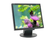 NEC Display Solutions LCD175VX-BK Black 17inches - 8ms DVI LCD Monitor 270 cd/m2 500:1 - Retail