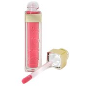 Addict Plastic Gloss - #454 Impulsive Rose 