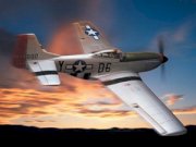 P-51D Mustang set M24