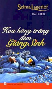 Hoa hồng trắng đêm giáng sinh 