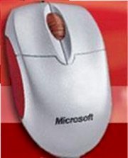 Microsoft Compact Optical Scroll Mouse (U81-00024)