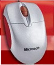 Microsoft Compact Optical Scroll Mouse (U81-00023)