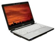 Toshiba Satellite U305-S7446 (Intel Core 2 Duo T5250 1.5GHz, 1GB RAM, 160GB HDD, VGA Intel GMA X3100, 13.3 inch, Windows Vista Home Premium)