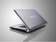 Sony Vaio VGN-FW139E/H (Intel Core 2 Duo P8400 2.26GHz, 3GB RAM, 250GB HDD, VGA ATI Radeon HD 3470, 16.4 inch, Windows Vista Home Premium)