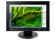 Eizo Coloredge CG220