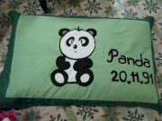 Panda 20.11 CN00012