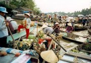 TP Hồ Chí Minh- Cần Thơ - Chợ Nổi