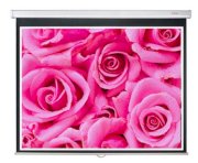 Màn chiếu treo tường SCREEN PRO SAMS WS1096 96x96 inch