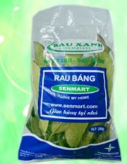 Rau Báng rừng