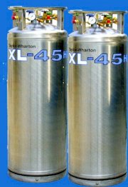 Bình chứa nitơ lỏng XL45HP