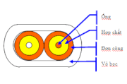 Fiber Show Cáp quang sợi đôi bẹt 4.4×8.0mm.