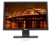 Dell P2210 22inch