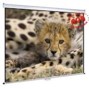 Dalite 110" (84"x63") Remote