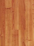 Sàn gỗ C23-Janmi