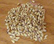 Malt Bia Tiệp (Pilsen Malt)