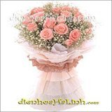 Gently - HB021 Bó hoa hồng phấn baby
